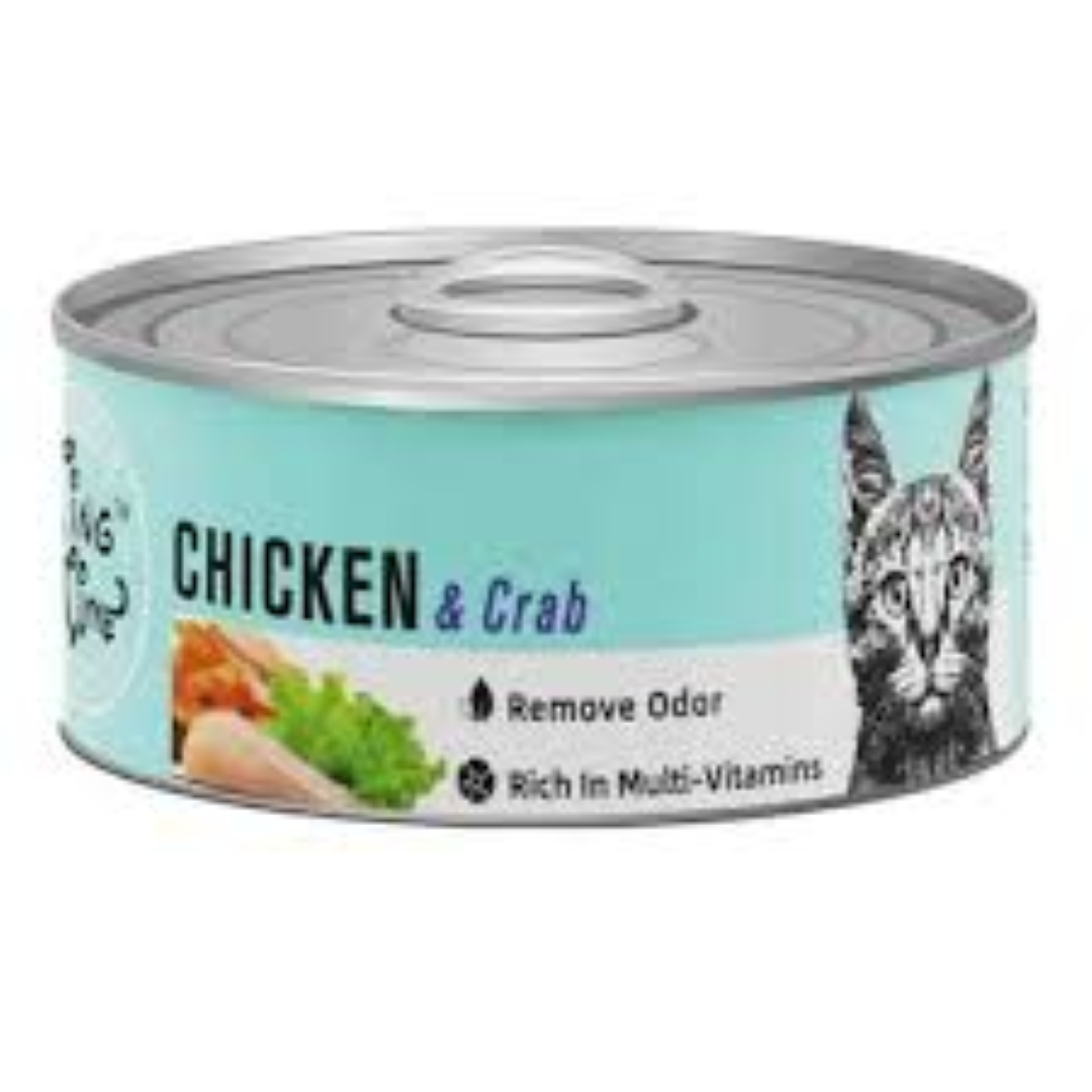 TING TIME CAT CAN CHICKEN N CRAB 95G